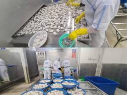 Baby cuttlefish whole frozen seafood wholesale