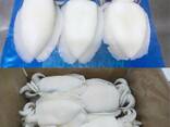Baby cuttlefish whole frozen seafood wholesale - фото 2