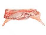 Bulk Top Quality Frozen Pork Meat / Frozen Pork - photo 3