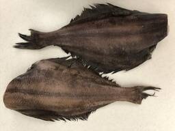 Чёрный палтус / Greenland Halibut
