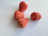 Freeze dried fruits wholesale - фото 11