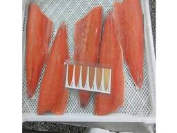 Fresh-frozen salmon fish bodies (gutted &amp; headless)