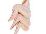 Frozen Chicken Joint Wings Wholesale Frozen - фото 3