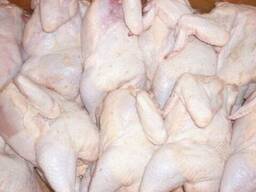 Frozen Halal Whole Chicken and chicken parts for sale