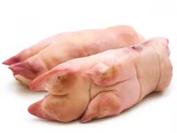 Frozen Pork Ear / Frozen Pork Feet