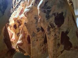 Говядина Быки Экстра, Корова 1 категории. Беларусь.