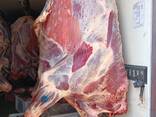 Говядина Быки Экстра, Корова 1 категории. Беларусь. - фото 3