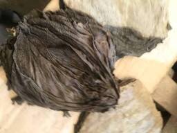 Говяжья книжка