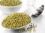Green Mung bean from Uzbekistan - фото 7