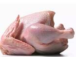 Halal Certified Frozen Whole Chicken For Sale Wholesale - фото 3