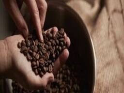 High Quality Organic Robusta and Arabic Coffee Beans Premium