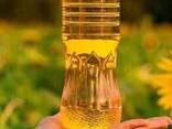 I will sell refined deodorized sunflower oil - фото 1