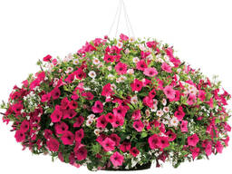 Çiçək yataqları: fiberglas kompozit; beton; polimer-qum kompozit. ..