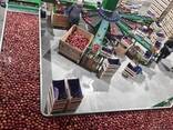 Интенсивные сады под ключ - европейская технология - photo 5