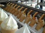Линия ОЛВ для фасовки и закаливания мороженого - фото 6