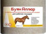 Лизунец солевой минерально-витаминный для лошадей "Буян Аллюр" - фото 1