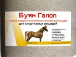 Лизунец солевой минерально-витаминный для лошадей "Буян Галоп"