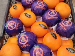 Мандарин Dobeshi