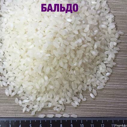 Medium grain rice, Camolino