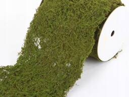 Мох строительный