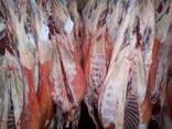 Мясо баранина, говядина Халял из Испании - фото 1