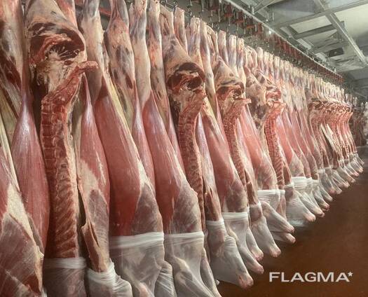 Мясо говядины