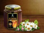 Натуральный горный мёд "Kyrgyz Honey" - фото 1
