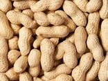 Неочищенный арахис из Солнечного Узбекистана - photo 1