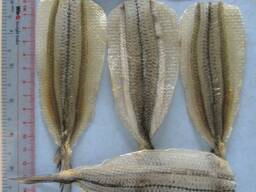 Поставки сушеной рыбы в Азербайджан из Вьетнама от производителя.