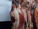 Продам говядину в полутушах, возможен Халяль на экспорт - фото 1