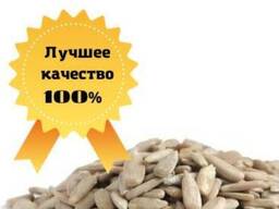 Продам оптом ядро подсолнечника очищенное, калиброванное, высшего сорта