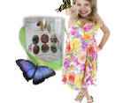 Продажа куколок тропических бабочек, коконы бабочек, ферма - фото 2