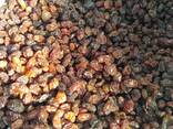 Raisins Sultana Abdjush (brown, confectionery) - фото 3