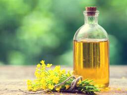 Rapeseed Oil – Refined and unrefined oil