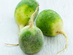 Редька Зеленаям