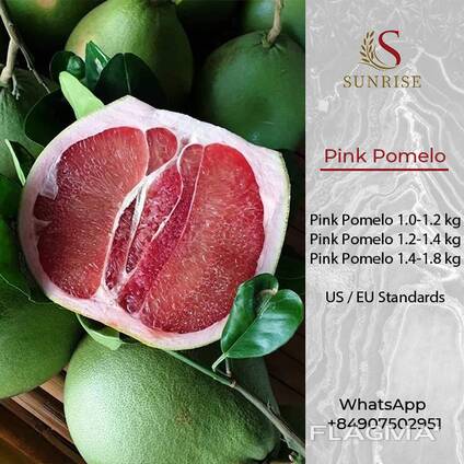 Розовое Помело