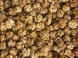 Сухофрукты и орехи из Узбекистана