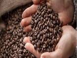 Sun-Dried Grade a Bourbon Arabica Coffee with Natural Sweetness 1 kg - photo 2