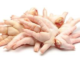 Top quality brazile Frozen Chicken paw wholesale price