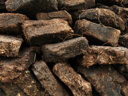 Torf İşarəl. : yüksək çəmənlik, qazon, birdəfəlik yanacaq... , Tətb. : acidic high-moor