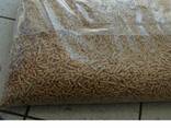 Wood Pellets ready for shipment - photo 10