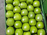 Яблоки из Кавказа - photo 1