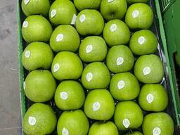 Яблоки из Кавказа