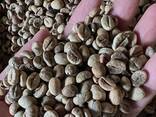 Зеленый кофе Робуста и Арабика из Вьетнама